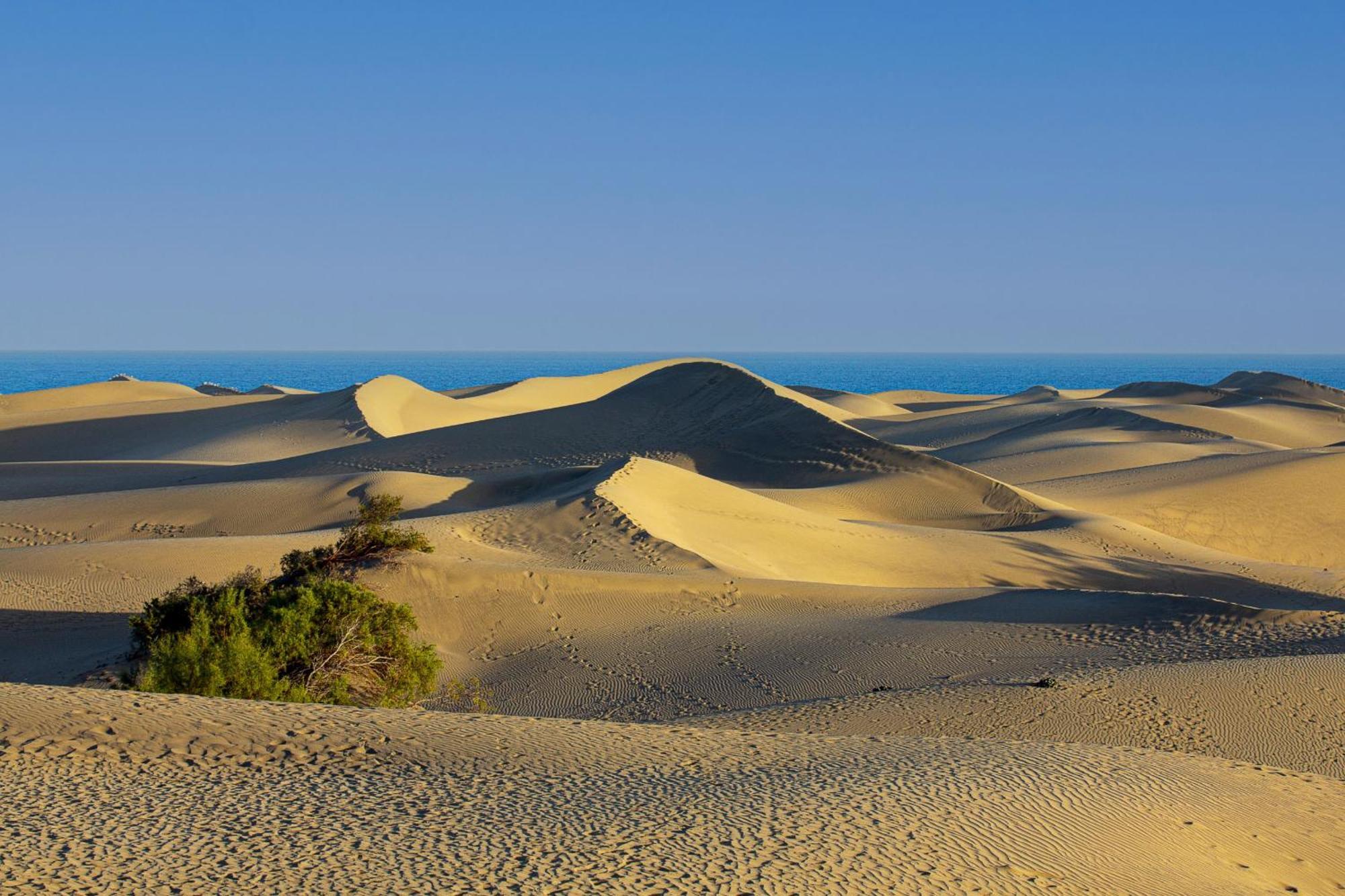 Ferienhaus Marbella Golf 101 By Pride Maspalomas (Gran Canaria)